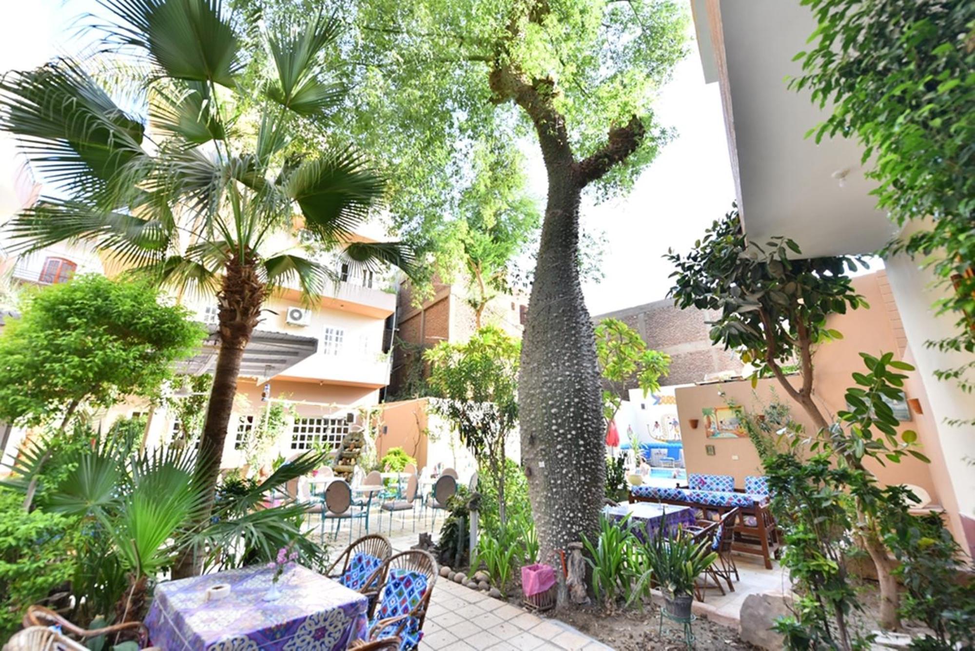 Amon Hotel Luxor Exterior foto